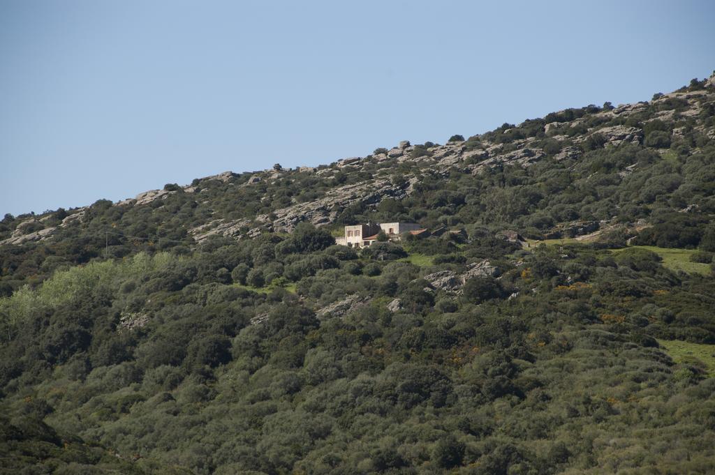 Campi Elisi B&B Sassari Exteriör bild